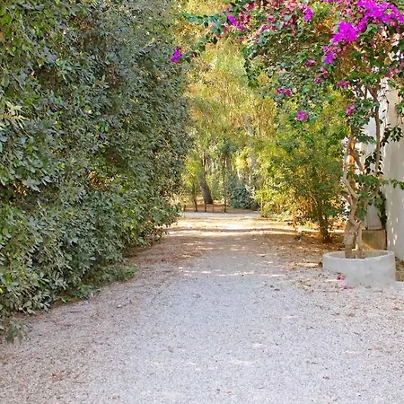Villaggio Camping Sentinella Torre dell'Orso Exterior photo