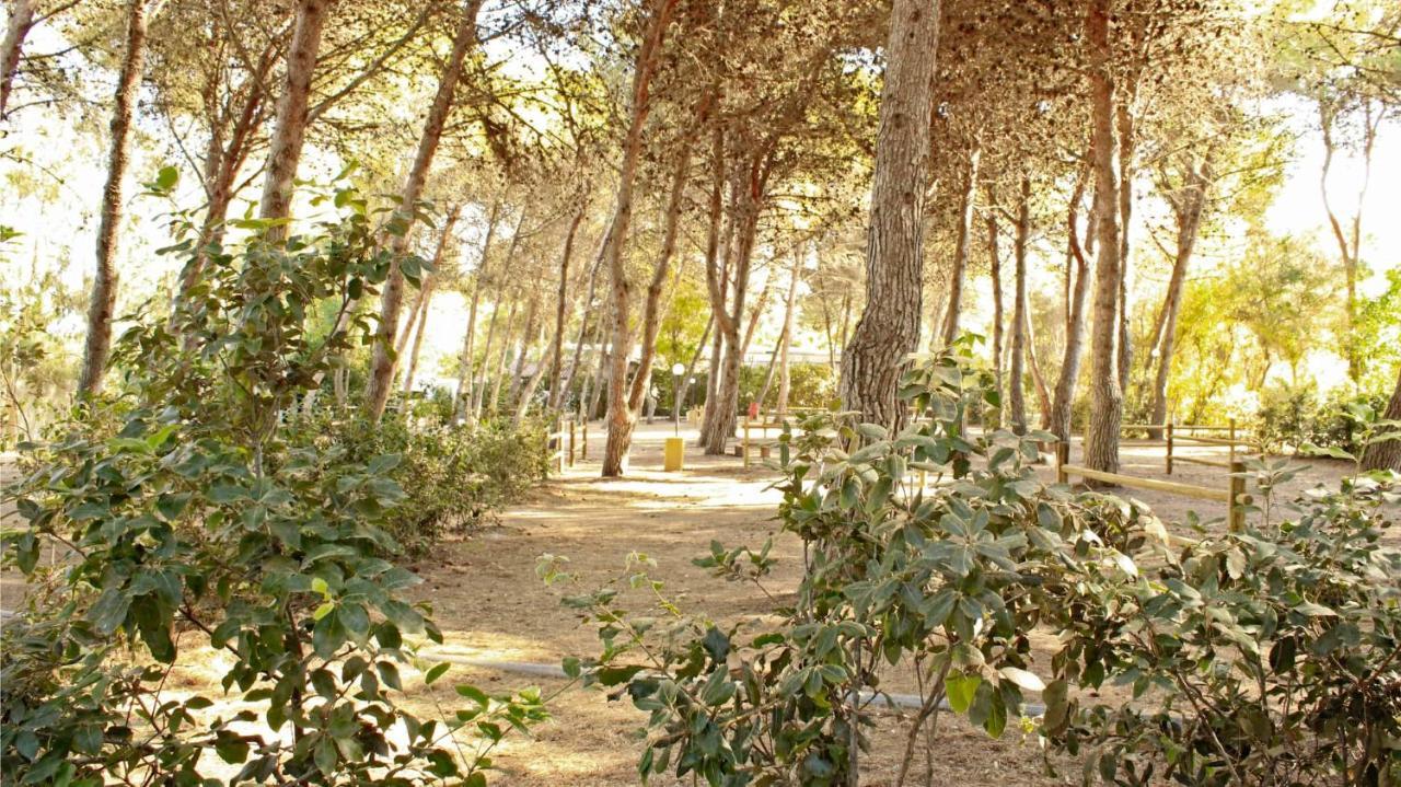 Villaggio Camping Sentinella Campingplatz