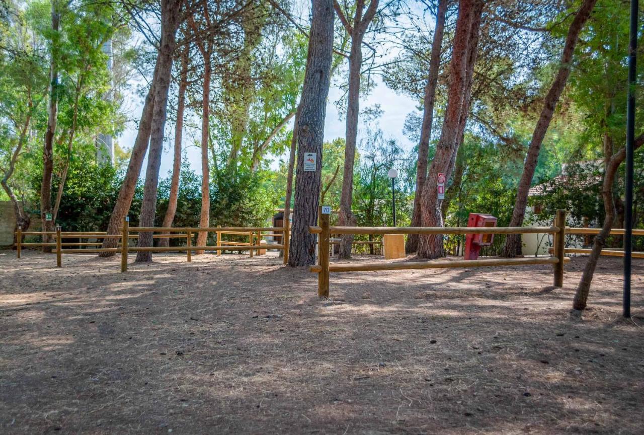 Villaggio Camping Sentinella * Torre dell'Orso